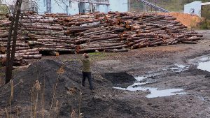 Still fra filmen - biomass plant